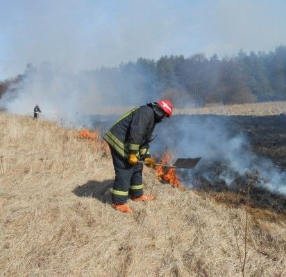Už žolės deginimą piliečiai gali būti nubausti nuo 57 iki 289 eurų bauda