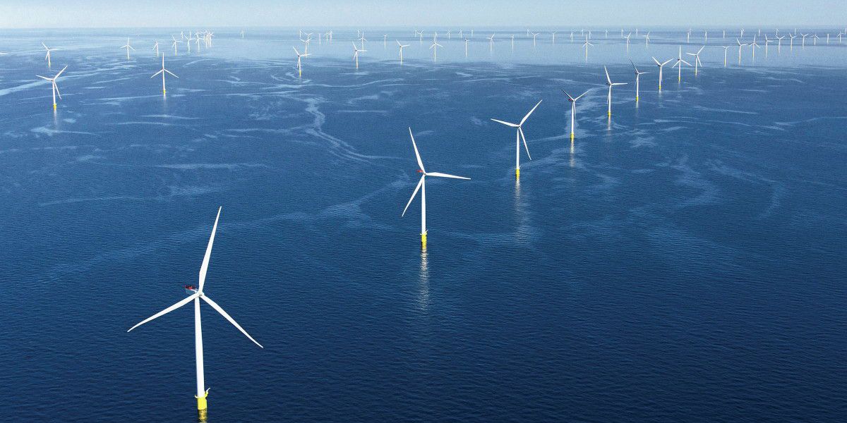 Dėl vėjo elektrinių jūroje ties Palanga meras Š.Vaitkus kreipėsi į valstybės vadovus: „Grafas Tiškevičius jūros tiltą statė ne tam, kad žiūrėtume į vėjo malūnus“