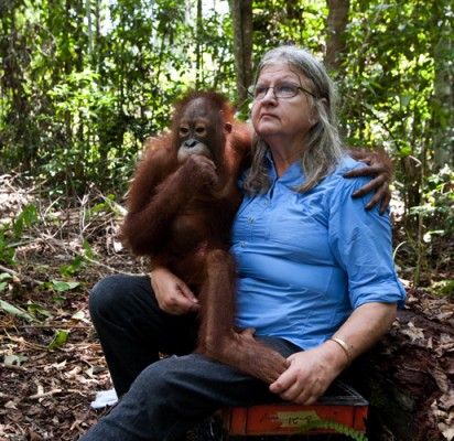 Žymiausia pasaulyje orangutangų tyrinėtoja neaplenkia ir Palangos