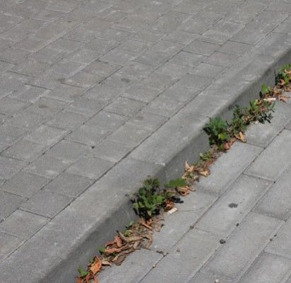 Dėl privatizuotų daugiabučių šaligatvių – bausti vyriausiąjį architektą
