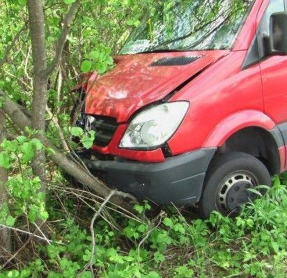 Sušlubavus vairuotojo sveikatai į medžius rėžėsi autobusas „Klaipėda-Palanga“