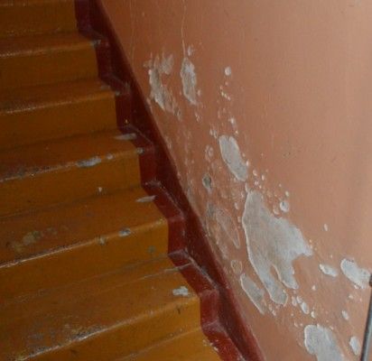 Renovacija Palangoje – „Palangos tilto“ tyrimas (3)