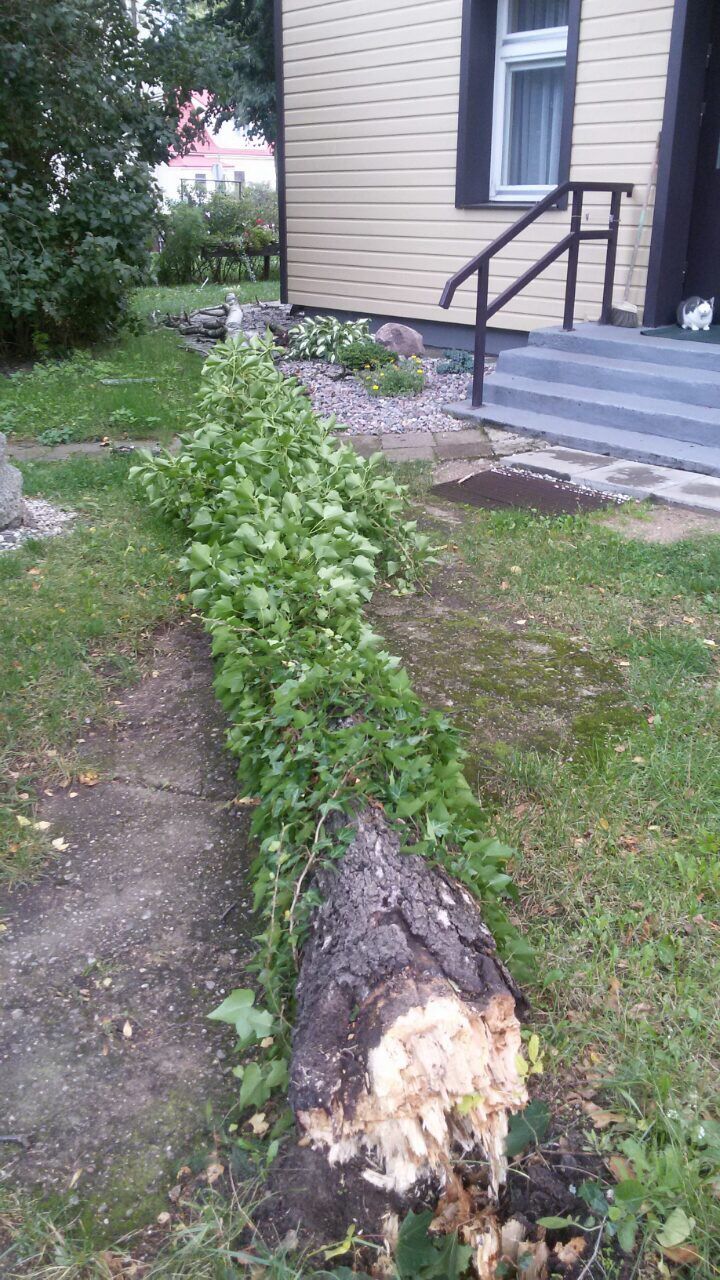 Problemą išsprendė motina gamta