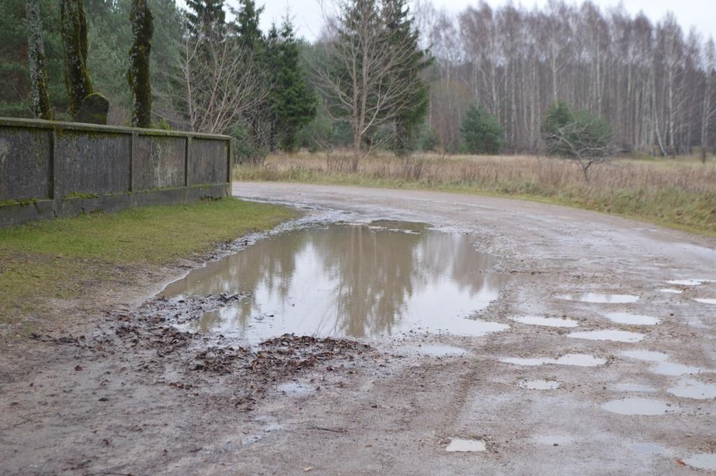 Palangiškis pastebėjo, jog senąsias kapines juosia jau prastos būklės tvora ir po lietaus ištęžtantis kelias.