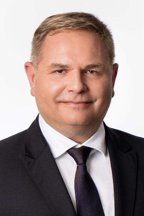 Mindaugas Skritulskas, TS-LKD Seimo narys, išrinktas Mėguvos vienmandatinėje rinkimų apygardoje