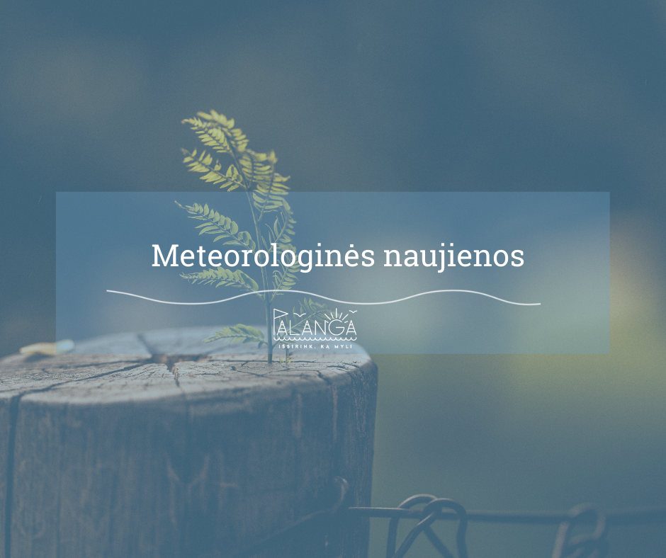 Perspėjimas apie pavojingą meteorologinį reiškinį – smarkų vėją spalio 31 d. – lapkričio 2 d.