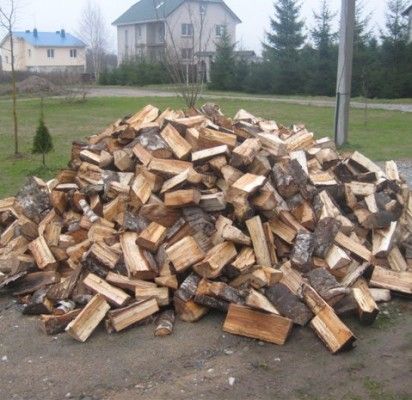 Artėjant šalčiams pigiausio kuro paieškoje pirmauja malkos