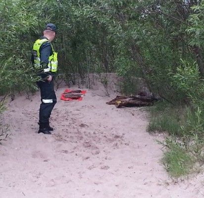 Reidų metu paplūdimyje aptiktos iš kitų miestų atvykusių benamių „gulyklos“. Palangos PK nuotr.