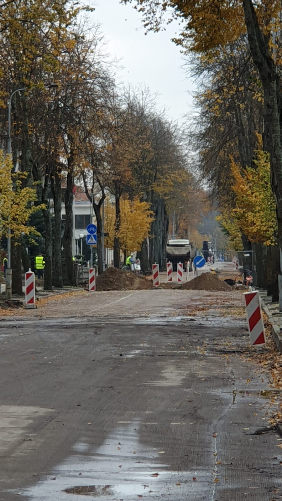 Vytauto gatvė iki Naujųjų pasipuoš tamsiai raudona danga