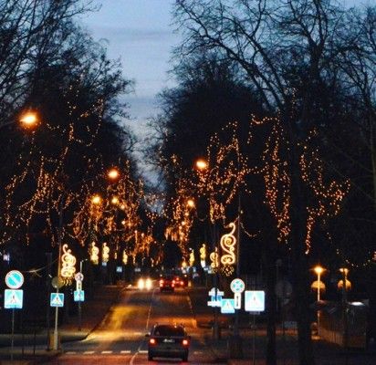 Šeštadienį Palangoje – miesto eglės įžiebimo šventė