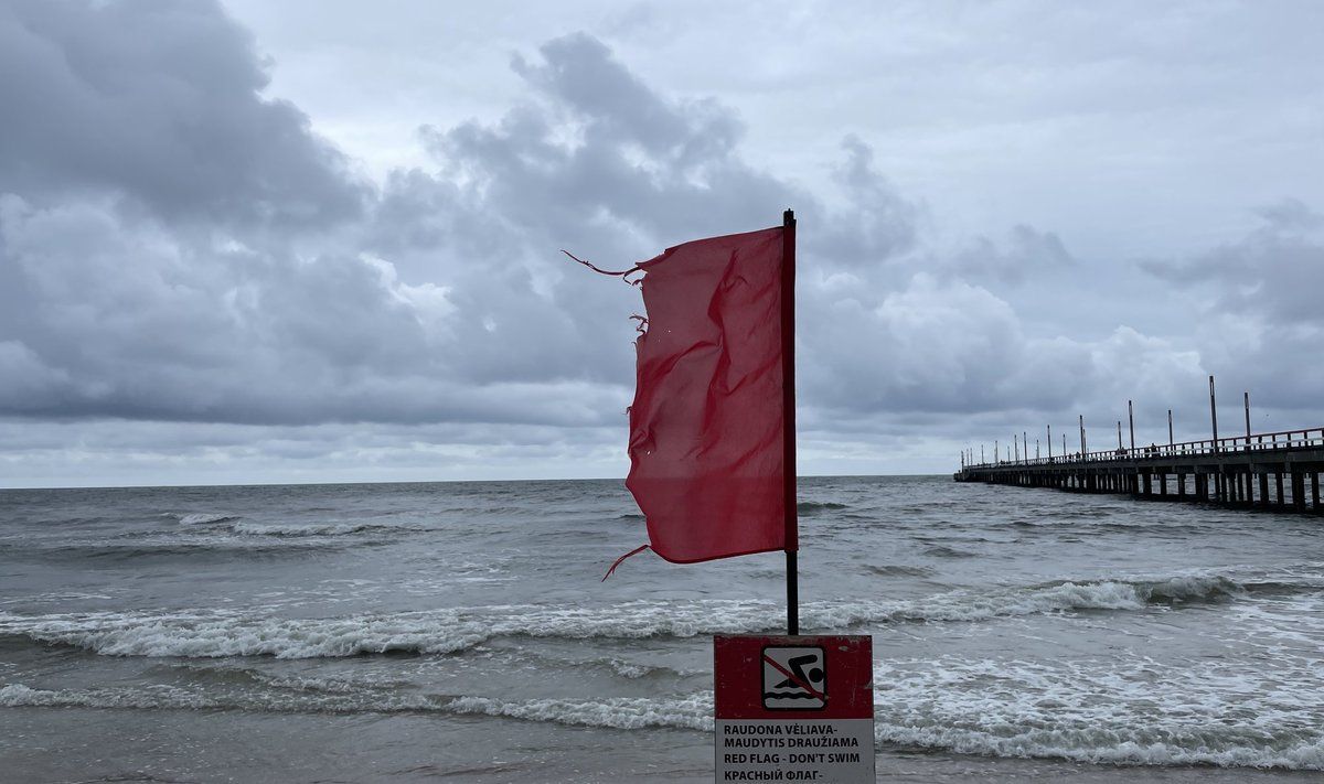 Palanga. FOTO: DEIMANTĖ MARČIULAITYTĖ | DELFI