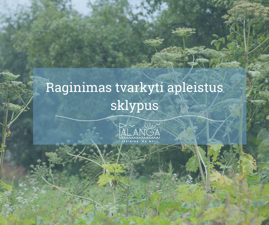 Dėl preliminaraus nenaudojamų, apleistų žemės sklypų sąrašo sudarymo