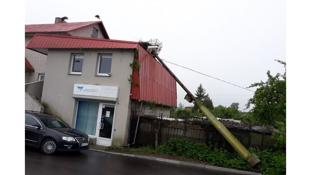 Nuvirtęs gandralizdis palangiškiams sukėlė širdgėlą