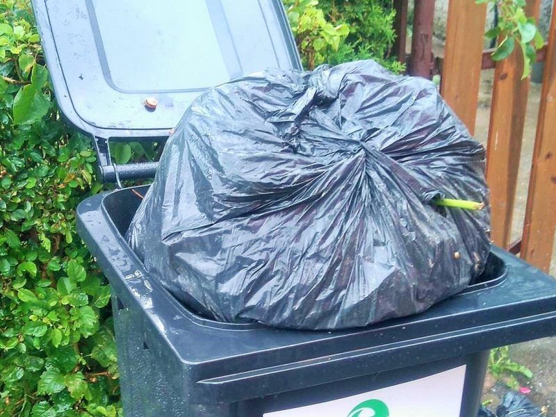 Mesti žaliųjų atiekų į plastikinius maišus Palangoje nebus galima
