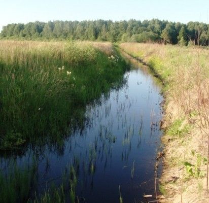 Nacionalinė mokėjimo agentūra paraiškas melioracijos griovių tvarkymui rinks nuo rugpjūčio 20 d. iki rugsėjo 28 d. Nuotrauka: Petro Jonaičio.