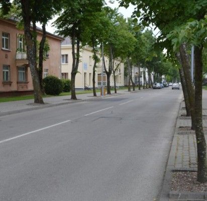 Vytauto gatvėje numatyta automobilių srautą nukreipti vienpusiu eismu, tačiau aktyvūs palangiškiai šiame sprendime įžvelgia daug spragų.
