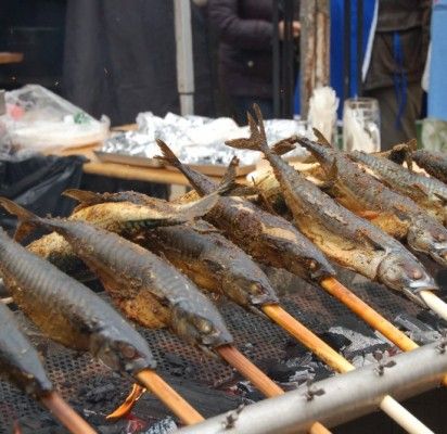 Jubiliejinės „Palangos stintos“ dalyviai kurorte pasijuto lyg vasarą