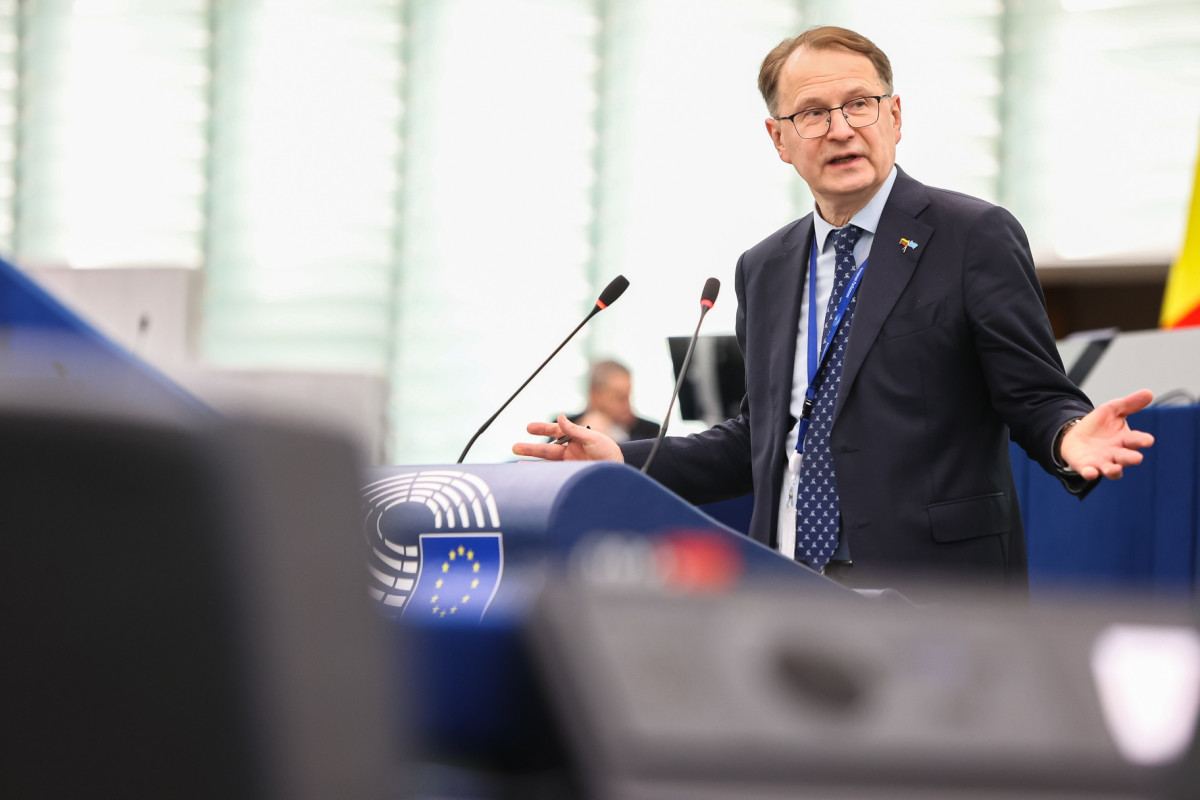 Prof. Dainius Žalimas, Europos Parlamento narys