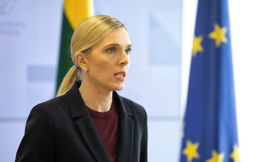 Agnė Bilotaitė, Andriaus Ufarto (delfi.lt) nuotr.