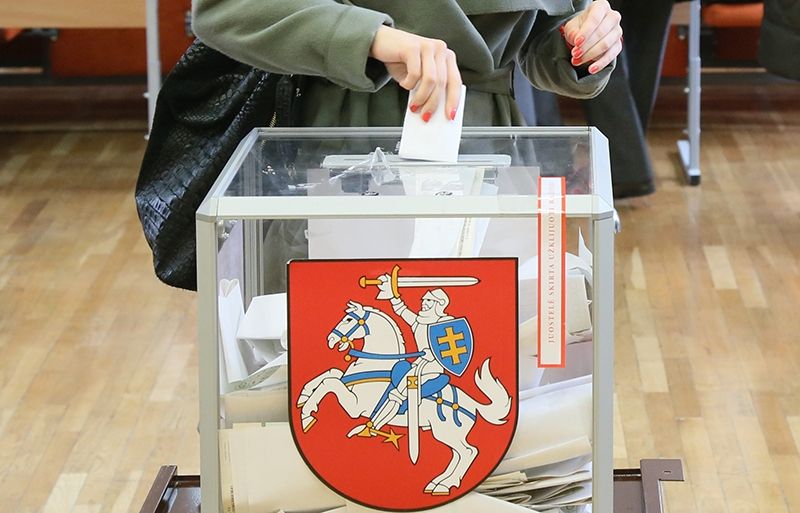 Vaitkus siūlo didžiausią konkrečią programą, Petrošius – ekologišką verslo centrą, Židanavičius – gyvenimo gerovės oazę, Grigorian – vandens pramogų parką, Jonas Kubilius – mineralinio vandens biuvetę, Skeberdytė – gyventojų apklausas