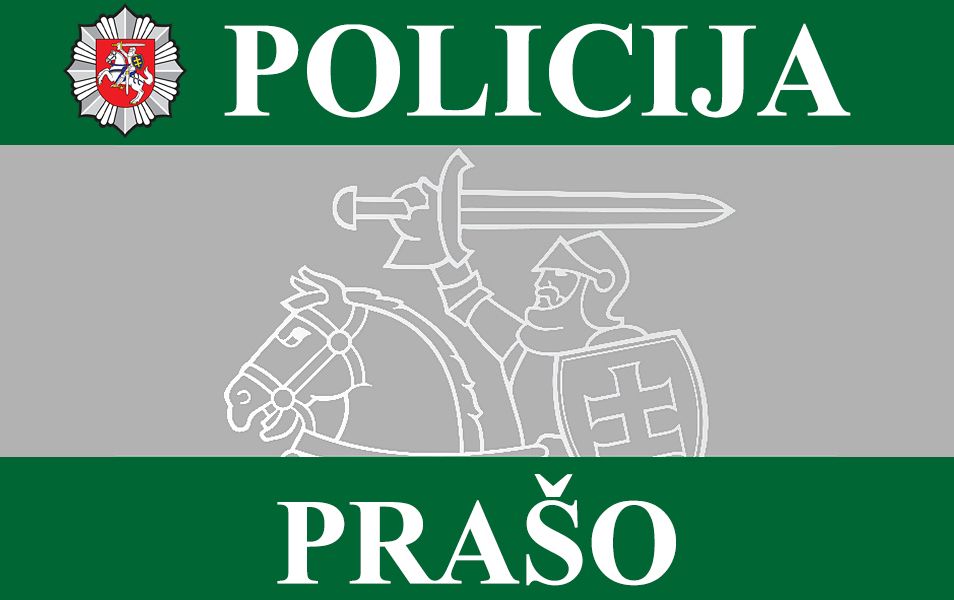 Policija prašo pagalbos nustatant eismo įvykio aplinkybes