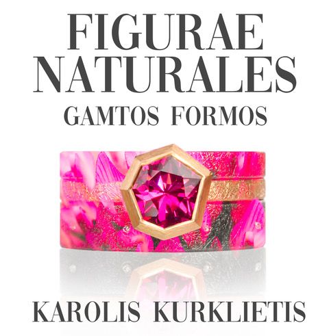 „Ramybės“ galerijoje – Karolio Kurkliečio „Gamtos formos“