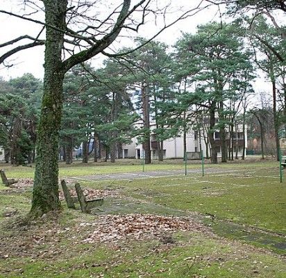 Nugriovus senąjį „Viešnagės“ pastatą 1,1 ha sklype norima statyti 17 dviaukščių vilų.
