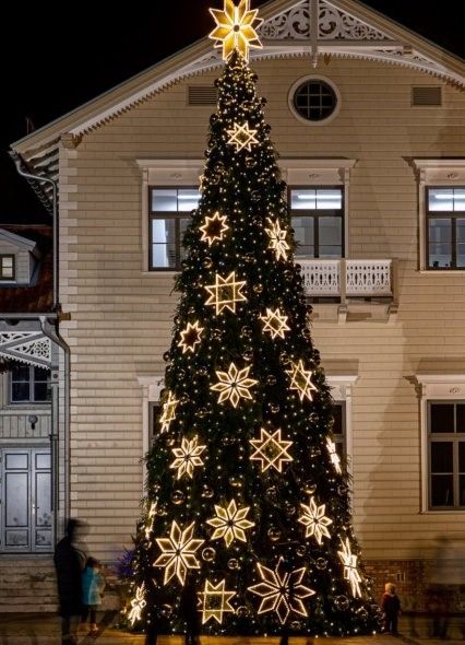 Palangos eglė - tarp paskutiniųjų Delfi gražiausių eglių rinkimuose