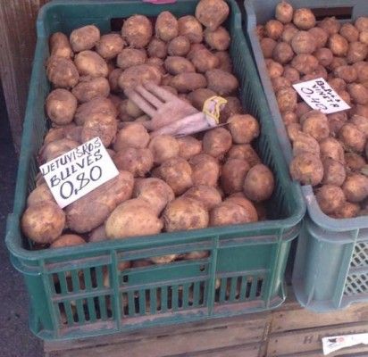 Palangos turgaus kainos – itin kurortinės