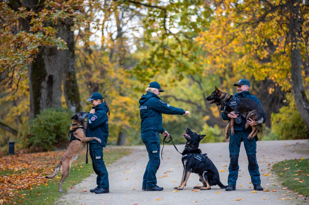 2022 m. Klaipėdos policijos pareigūnams aktyviai talkino keturkojai kolegos