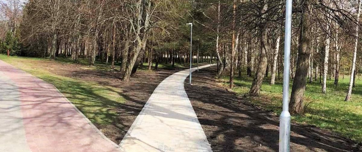 Link Palangos kapinių – iš pagrindų sutvarkytas ir apšviestas takas