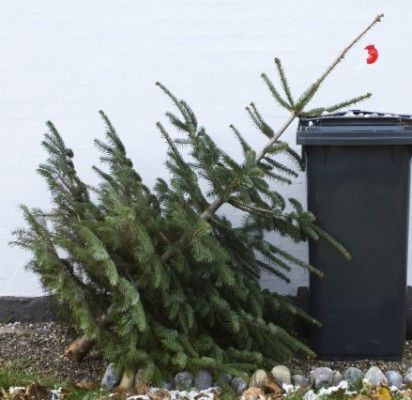 Atsisveikinimo su eglutėmis tradicija sunyko – dažniau puošiamos dirbtinės eglutės