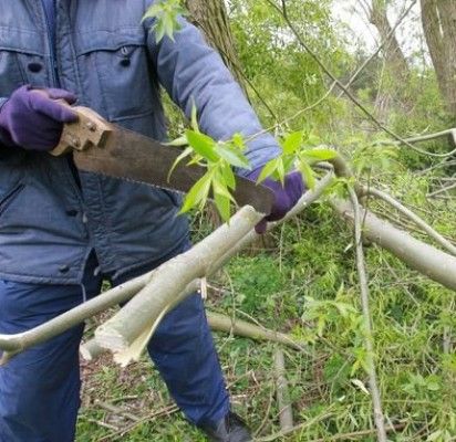 Viešuosius darbus kurorte dirbs 205 bedarbiai
