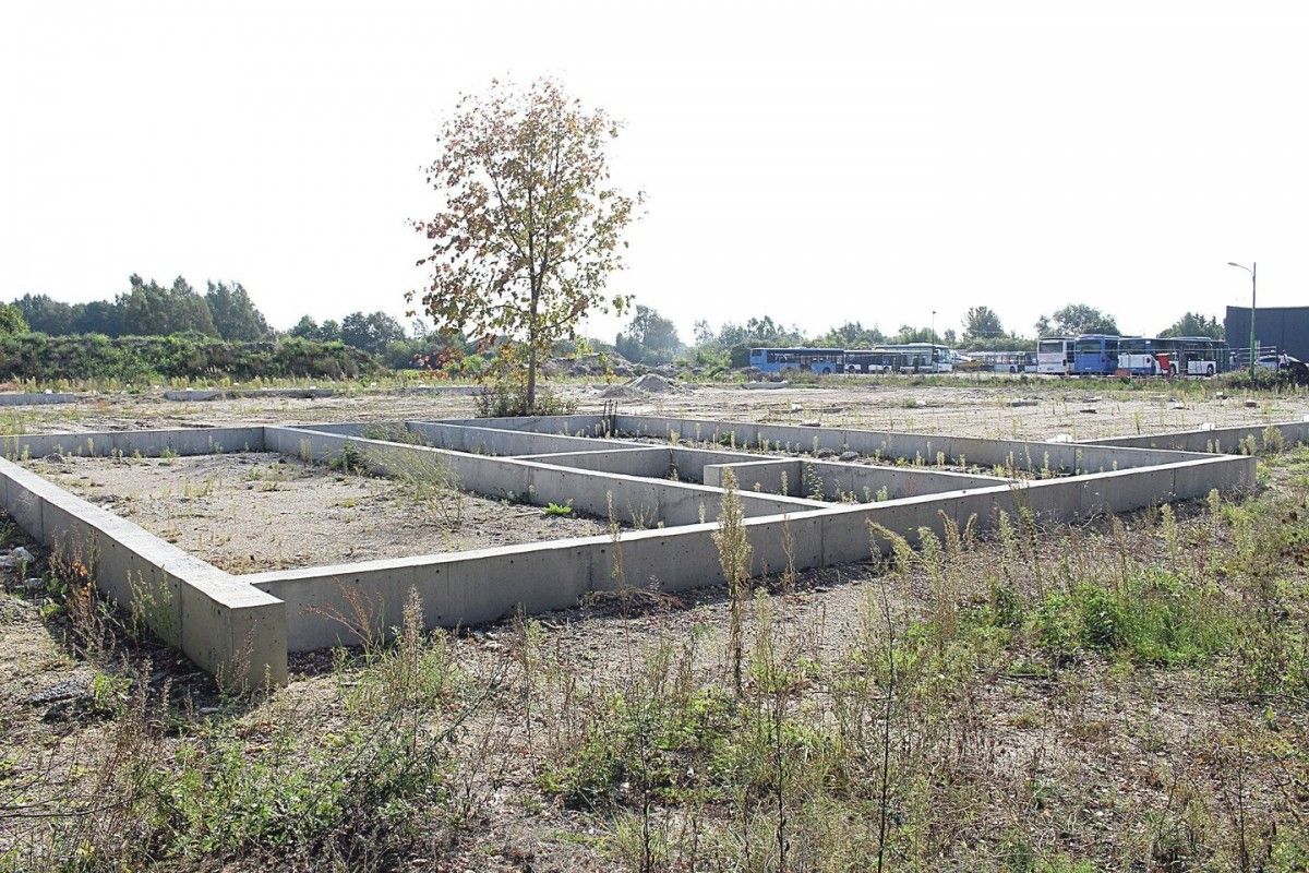 Palangiškis negali suvokti, kokį nusikaltimą padarė – viskas dėl žemės