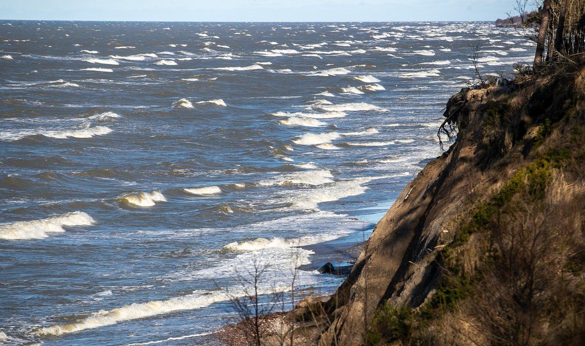 Stiprus vėjas pajūryje. FOTO: ELTA / ORESTAS GUREVIČIUS