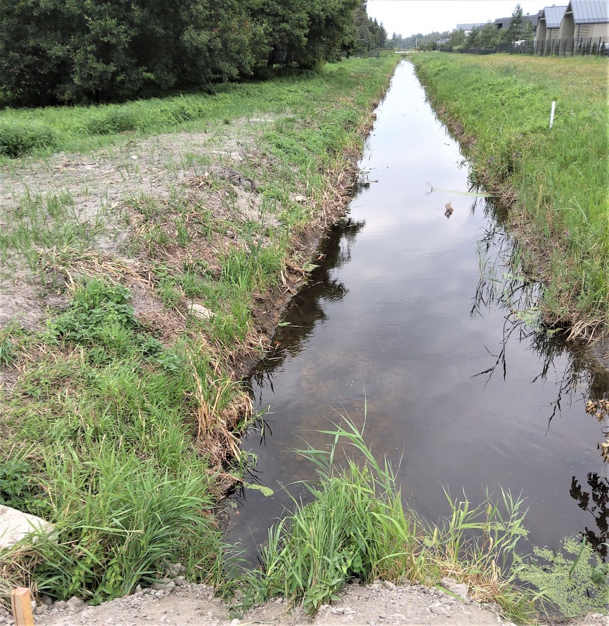 Užkanavėje įgyvendinamos potvynių rizikos mažinimo priemonės