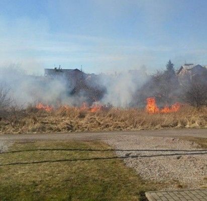 Apleistas žemės sklypas perpildė kantrybės taurę