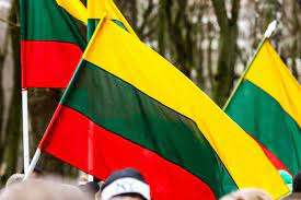 Seimas pritarė Lietuvos piliečių rengimo pilietiniam pasipriešinimui strategijai