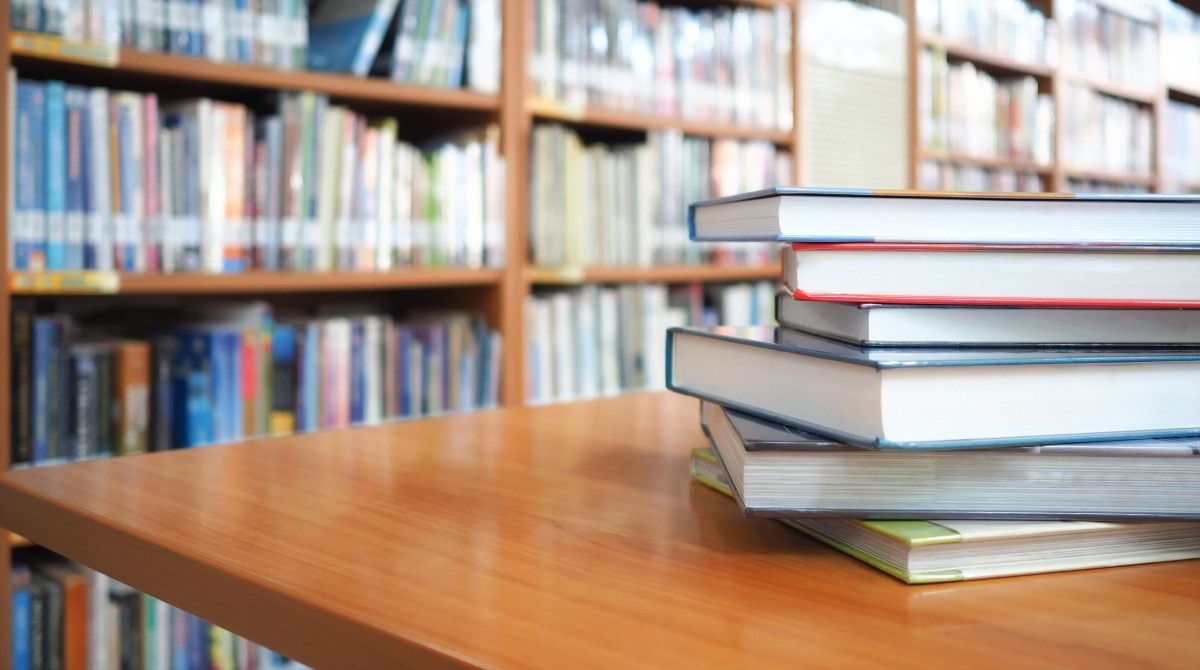 Knygas iš bibliotekų užsakančių skaičius išaugo dvigubai: tai lėmė nemokama paslauga