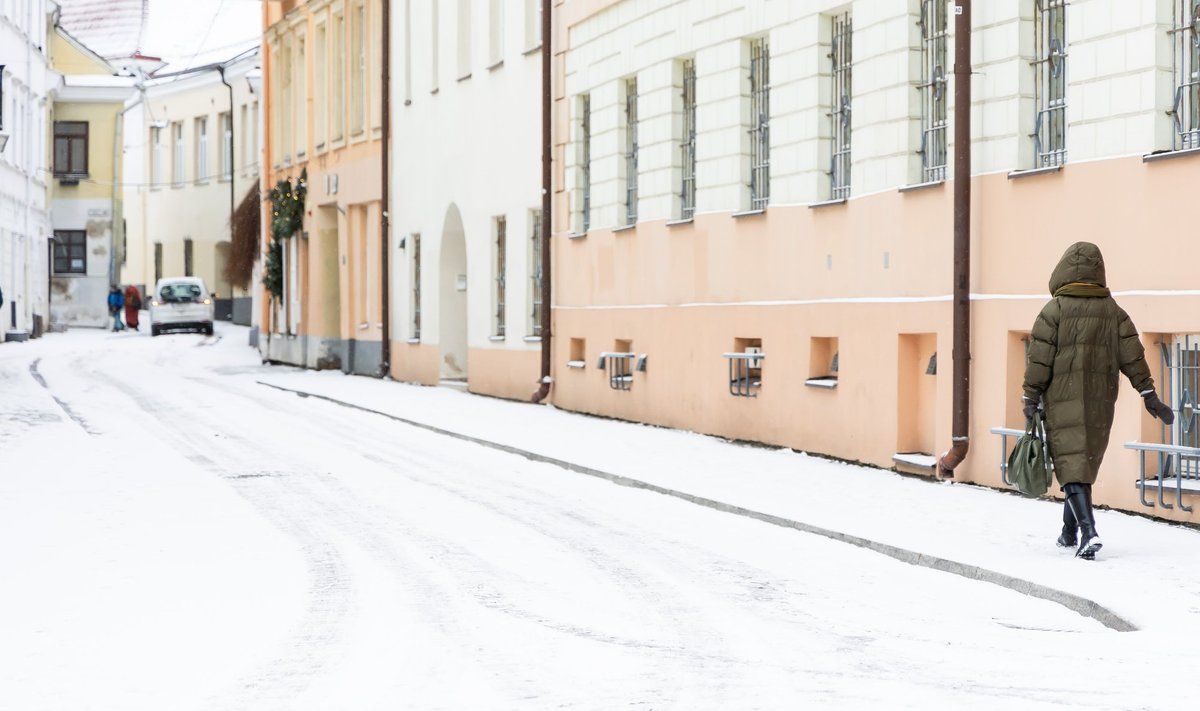 Į Vilnių sugrįžo sniegas. FOTO: DAINIUS LABUTIS | ELTA
