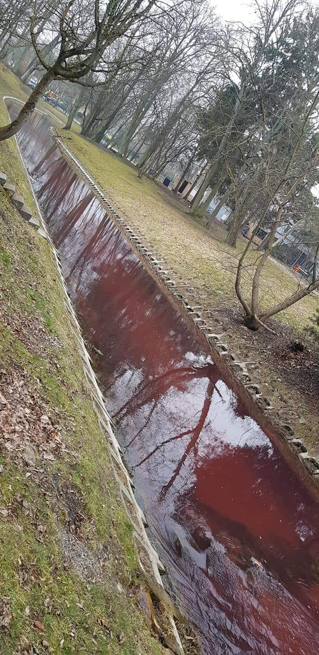 Kodėl Rąžės upelis Palangoje nusidažė raudona spalva?
