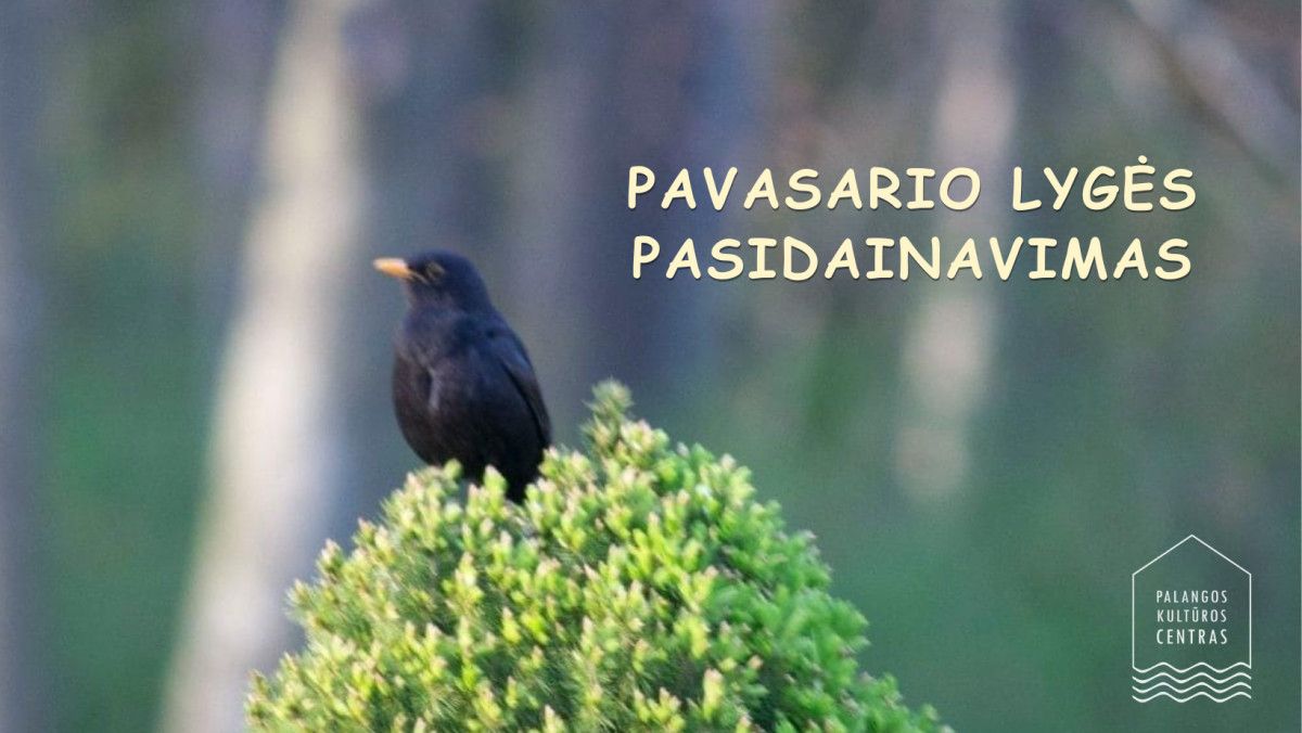 Pavasario lygės pasidainavimas su folkloro ansambliu „Mėguva“