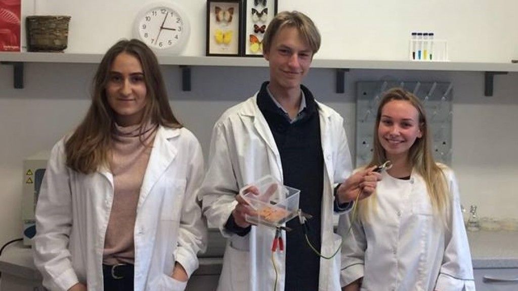 Gimnazijos abiturientai Ugnė Venckutė, Matas Viršilas ir Goda Miežetytė priėmė mokslinį iššūkį.