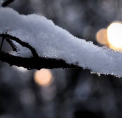 Šaltis aukų kol kas nepareikalavo