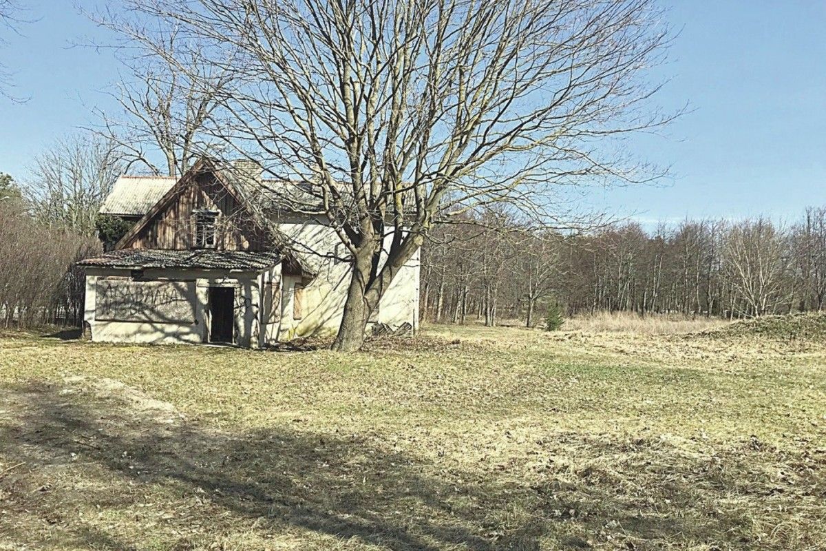 Aferistai tabu neturi: Palangoje sumanė pusvelčiui įsigyti svetimos žemės naujoms statyboms