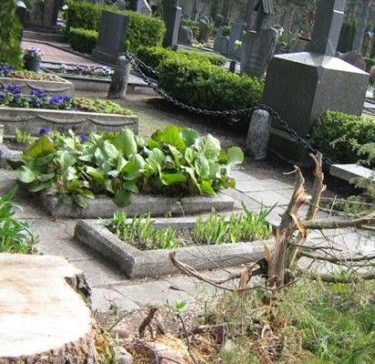 Susirieję giminaičiai reikalauja šeimos kapavietę dalinti perpus