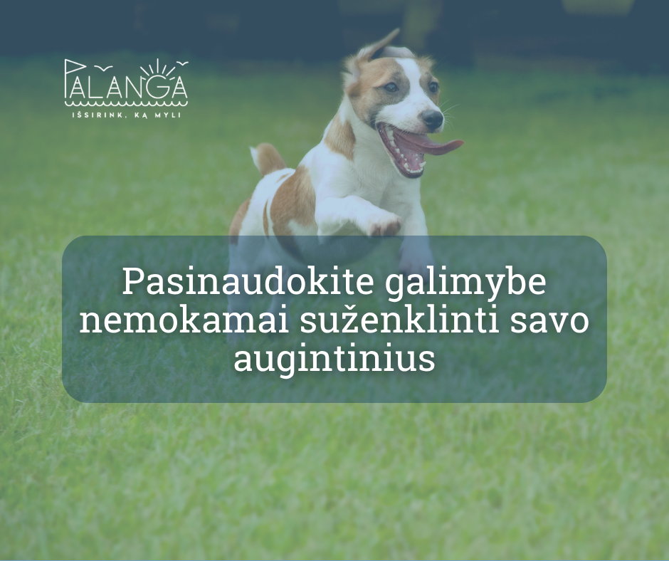 Pasinaudokite galimybe nemokamai suženklinti savo augintinius