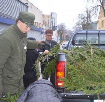 Palangos girininkijos vadovai padėjo palangiškiams išsirinkti gražiausias eglių šakas iš jų gausybės.