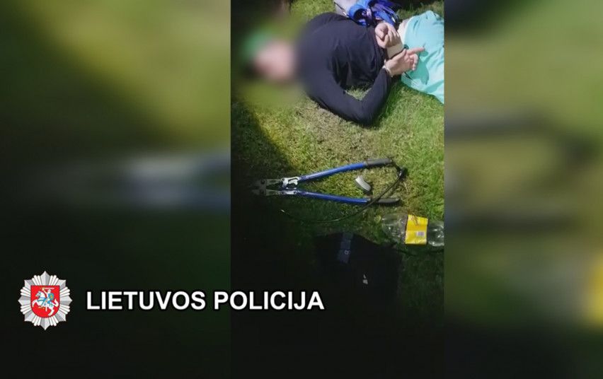 Per beveik 8 šių metų mėnesius Palangoje dėl vagysčių pradėti 95 ikiteisminiai tyrimai