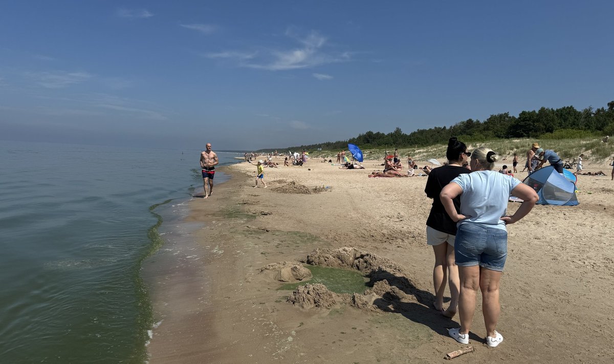 Žydintis vanduo Palangos paplūdimyje. FOTO: ARŪNO MILAŠIAUS NUOTR.